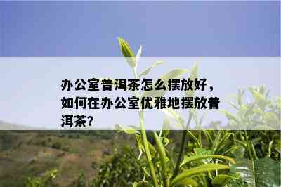 办公室普洱茶怎么摆放好，如何在办公室优雅地摆放普洱茶？