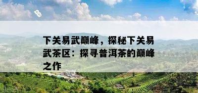 下关易武巅峰，探秘下关易武茶区：探寻普洱茶的巅峰之作