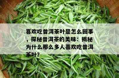 喜欢吃普洱茶叶是怎么回事，探秘普洱茶的美味：揭秘为什么那么多人喜欢吃普洱茶叶？