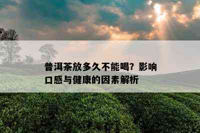 普洱茶放多久不能喝？影响口感与健康的因素解析