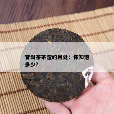 普洱茶茶渣的用处：你知道多少？