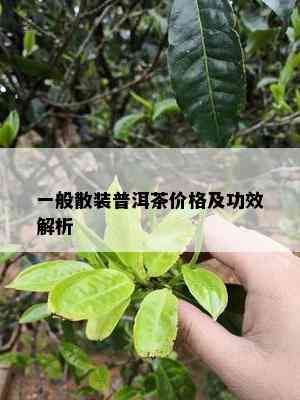 一般散装普洱茶价格及功效解析