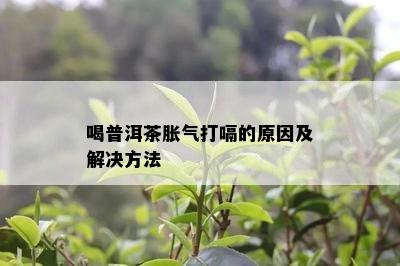 喝普洱茶胀气打嗝的原因及解决方法