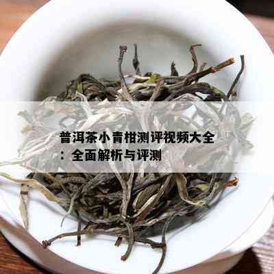 普洱茶小青柑测评视频大全：全面解析与评测