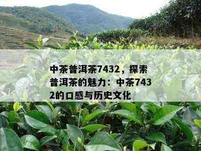 中茶普洱茶7432，探索普洱茶的魅力：中茶7432的口感与历史文化