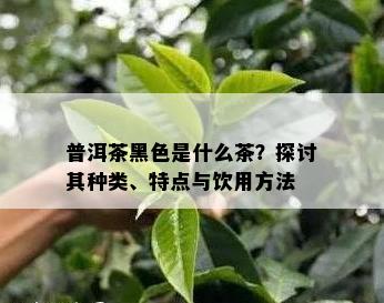 普洱茶黑色是什么茶？探讨其种类、特点与饮用方法