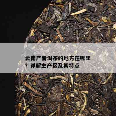 云南产普洱茶的地方在哪里？详解主产区及其特点