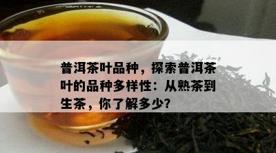 普洱茶叶品种，探索普洱茶叶的品种多样性：从熟茶到生茶，你了解多少？