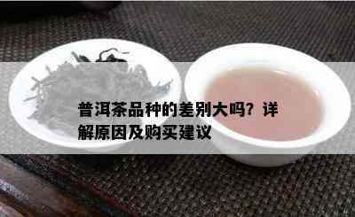 普洱茶品种的差别大吗？详解原因及购买建议