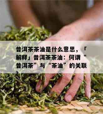 普洱茶茶油是什么意思，「解释」普洱茶茶油：何谓“普洱茶”与“茶油”的关联？