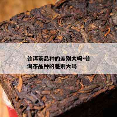 普洱茶品种的差别大吗-普洱茶品种的差别大吗