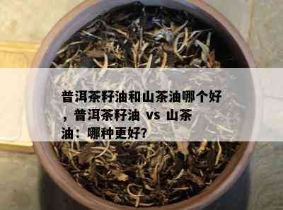 普洱茶籽油和山茶油哪个好，普洱茶籽油 vs 山茶油：哪种更好？