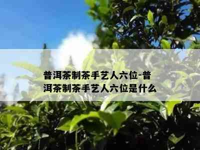 普洱茶制茶手艺人六位-普洱茶制茶手艺人六位是什么