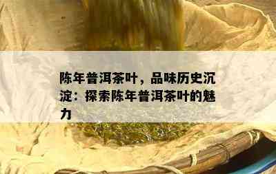 陈年普洱茶叶，品味历史沉淀：探索陈年普洱茶叶的魅力