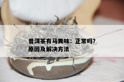 普洱茶有马粪味：正常吗？原因及解决方法