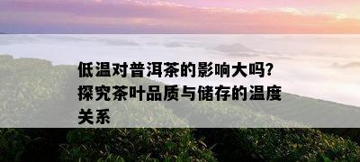 低温对普洱茶的影响大吗？探究茶叶品质与储存的温度关系