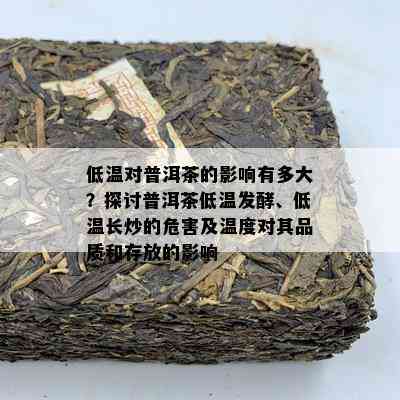 低温对普洱茶的影响有多大？探讨普洱茶低温发酵、低温长炒的危害及温度对其品质和存放的影响