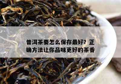 普洱茶要怎么保存更好？正确方法让你品味更好的茶香