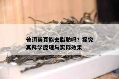 普洱茶真能去脂肪吗？探究其科学原理与实际效果