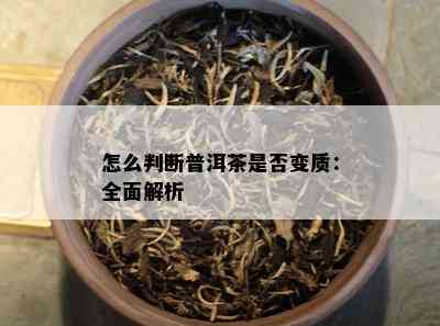 怎么判断普洱茶是否变质：全面解析