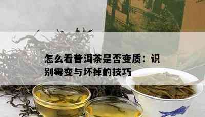 怎么看普洱茶是否变质：识别霉变与坏掉的技巧