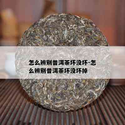 怎么辨别普洱茶坏没坏-怎么辨别普洱茶坏没坏掉