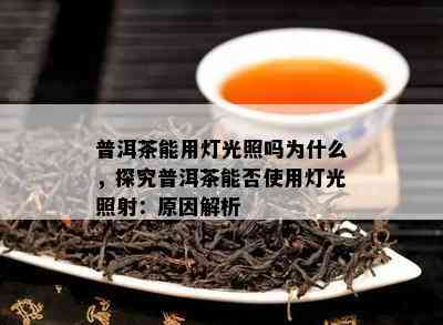 普洱茶能用灯光照吗为什么，探究普洱茶能否使用灯光照射：原因解析