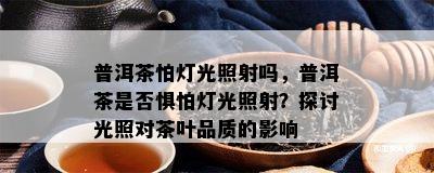 普洱茶怕灯光照射吗，普洱茶是否惧怕灯光照射？探讨光照对茶叶品质的影响