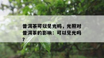 普洱茶可以见光吗，光照对普洱茶的影响：可以见光吗？