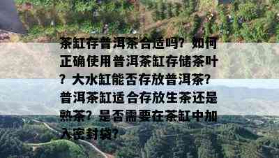 茶缸存普洱茶合适吗？如何正确使用普洱茶缸存储茶叶？大水缸能否存放普洱茶？普洱茶缸适合存放生茶还是熟茶？是否需要在茶缸中加入密封袋？