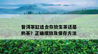 普洱茶缸适合存放生茶还是熟茶？正确摆放及保存方法