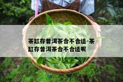 茶缸存普洱茶合不合适-茶缸存普洱茶合不合适呢