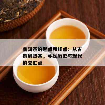 普洱茶的起点和终点：从古树到熟茶，寻找历史与现代的交汇点