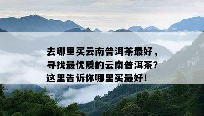 去哪里买云南普洱茶更好，寻找更优质的云南普洱茶？这里告诉你哪里买更好！