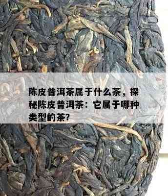 陈皮普洱茶属于什么茶，探秘陈皮普洱茶：它属于哪种类型的茶？