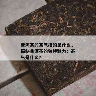 普洱茶的茶气指的是什么，探秘普洱茶的独特魅力：茶气是什么？