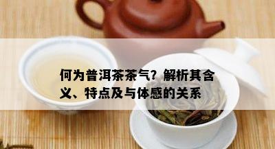 何为普洱茶茶气？解析其含义、特点及与体感的关系