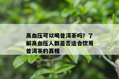 高血压可以喝普洱茶吗？了解高血压人群是否适合饮用普洱茶的真相