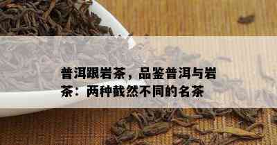 普洱跟岩茶，品鉴普洱与岩茶：两种截然不同的名茶