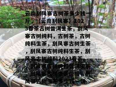 云南刮风寨古树茶多少钱一斤，【云南刮风寨】2023春茶古树普洱生茶，刮风寨古树纯料，古树茶，古树纯料生茶，刮风寨古树生茶，刮风寨古树纯料生茶，刮风寨古树纯料2023春茶，刮风寨古树纯料普洱生茶，刮风寨古树生茶价格，刮风寨古树生茶多少钱一饼