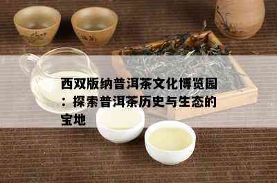 西双版纳普洱茶文化博览园：探索普洱茶历史与生态的宝地