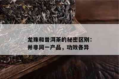 龙珠和普洱茶的秘密区别：并非同一产品，功效各异