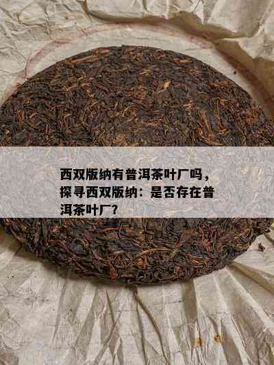 西双版纳有普洱茶叶厂吗，探寻西双版纳：是否存在普洱茶叶厂？