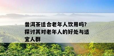 普洱茶适合老年人饮用吗？探讨其对老年人的好处与适宜人群