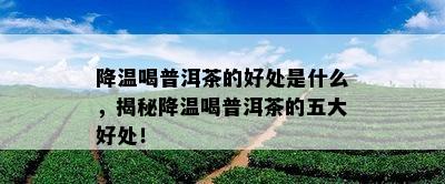 降温喝普洱茶的好处是什么，揭秘降温喝普洱茶的五大好处！