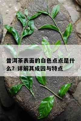 普洱茶表面的白色点点是什么？详解其成因与特点