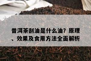 普洱茶刮油是什么油？原理、效果及食用方法全面解析