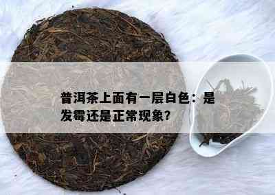 普洱茶上面有一层白色：是发霉还是正常现象？