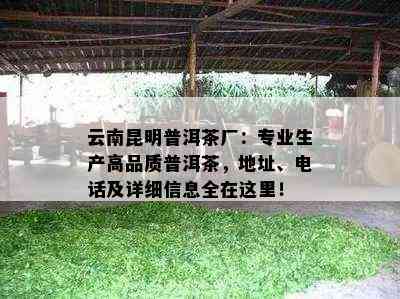 云南昆明普洱茶厂：专业生产高品质普洱茶，地址、电话及详细信息全在这里！