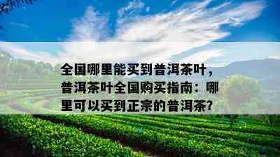 全国哪里能买到普洱茶叶，普洱茶叶全国购买指南：哪里可以买到正宗的普洱茶？